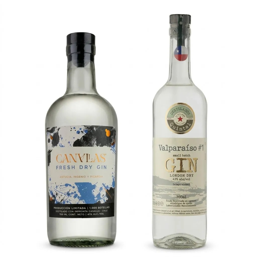 Pack Dúo de Autor: Gin Canallas + Gin Valparaíso London Dry